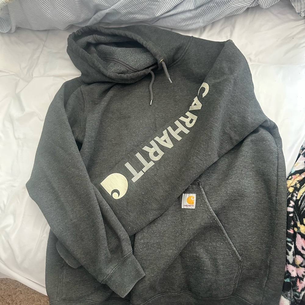 Carhartt Men's Gray Hoodie